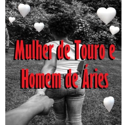 touro dá certo com áries combina