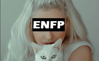 ENFP personalidade Ativista mbti 16personalidades