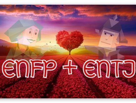 Relacionamento ENTJ - ENFP